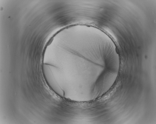 X0000088200948200706121737
