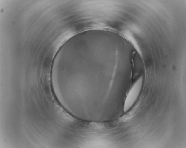 X0000088200954200706121737