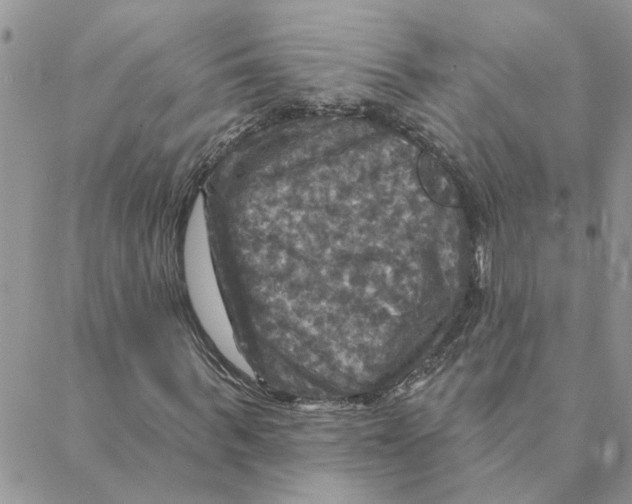X0000088200963200706121736
