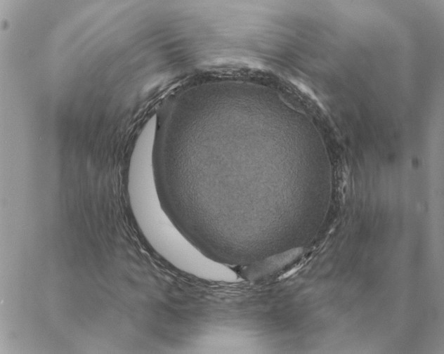 X0000088200965200706121736