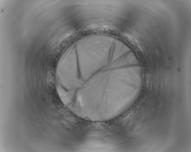 X0000088200966200706121736