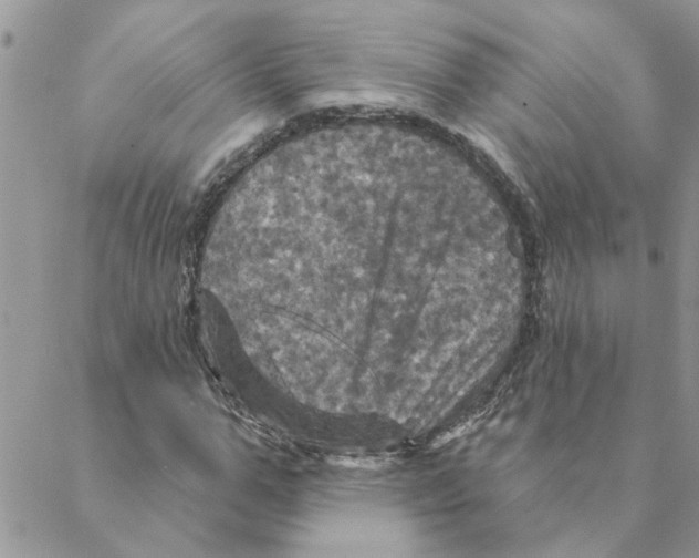 X0000088200967200706121736