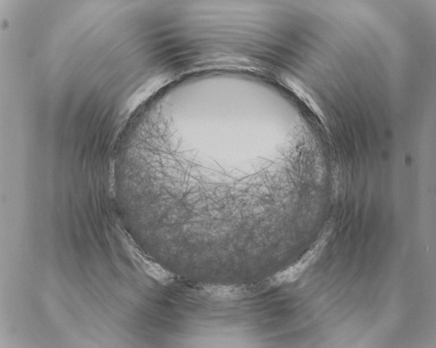 X0000088200970200706121736