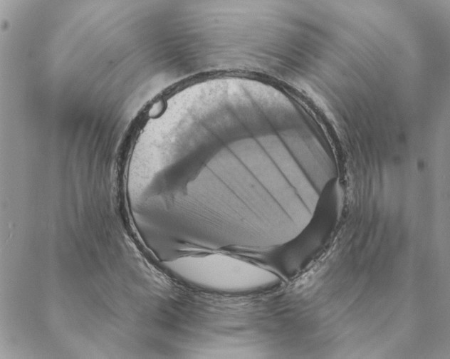 X0000088200975200706121736