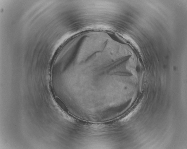 X0000088200989200706121736