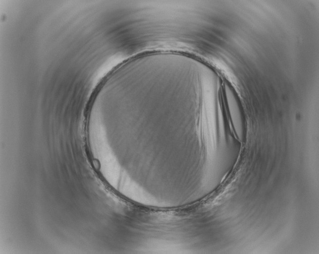 X0000088200990200706121736
