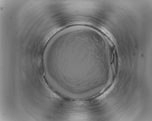 X0000088200993200706121736