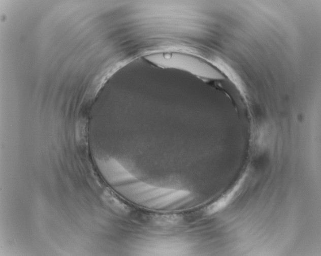 X0000088201001200706121736