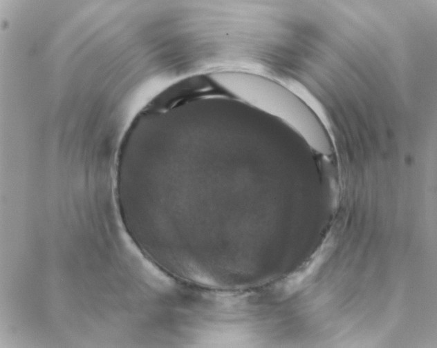 X0000088201005200706121736