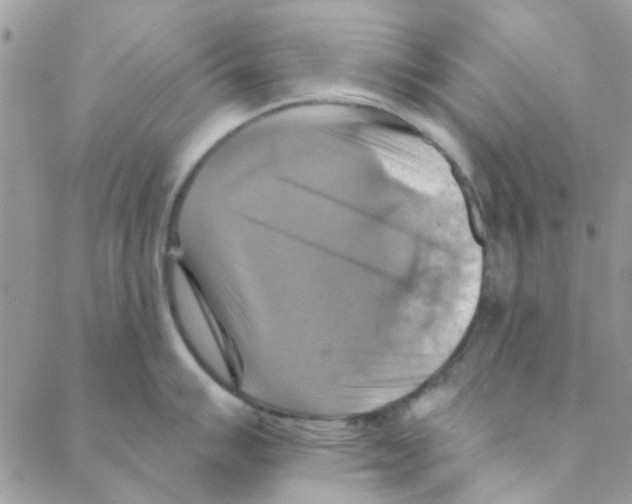X0000088201007200706121736