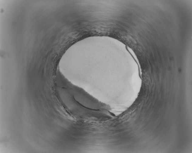 X0000088201009200706121735
