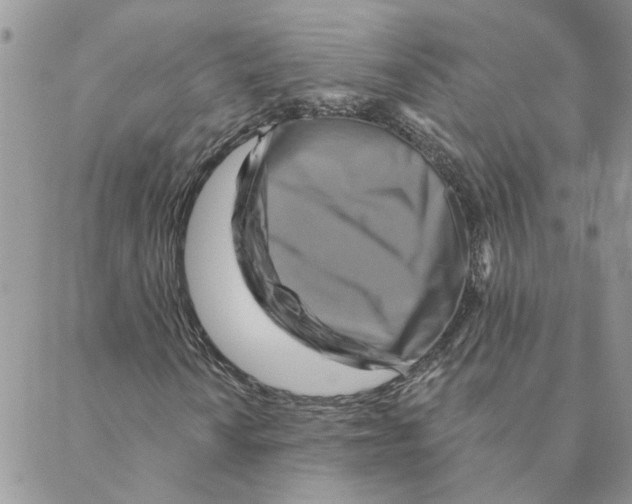 X0000088201010200706121735
