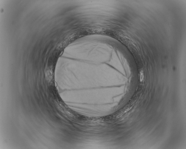 X0000088201011200706121735