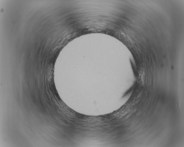 X0000088201012200706121735
