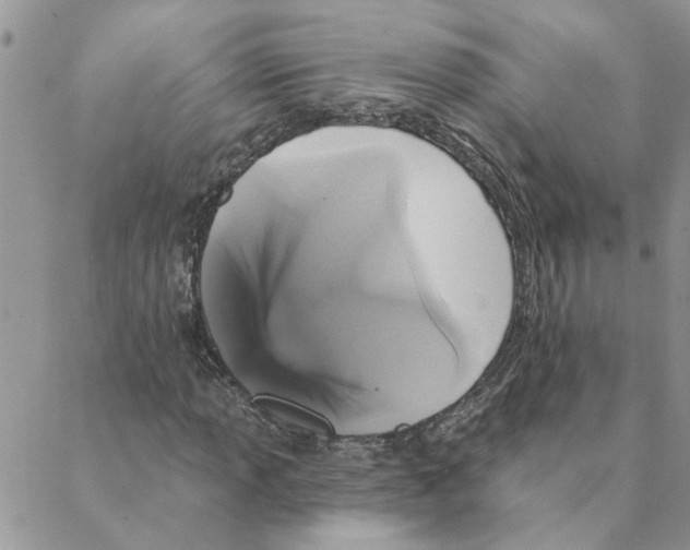 X0000088201013200706121735
