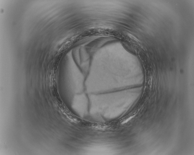 X0000088201014200706121735