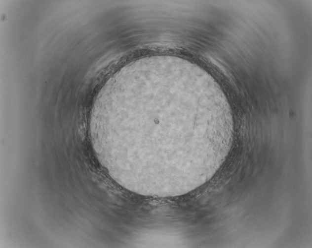 X0000088201015200706121735