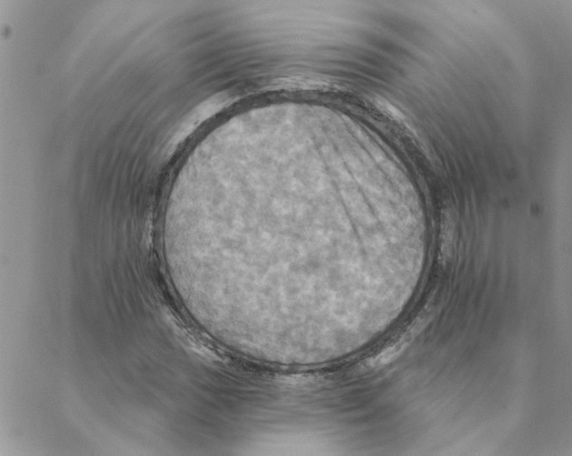 X0000088201017200706121735