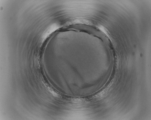 X0000088201018200706121735