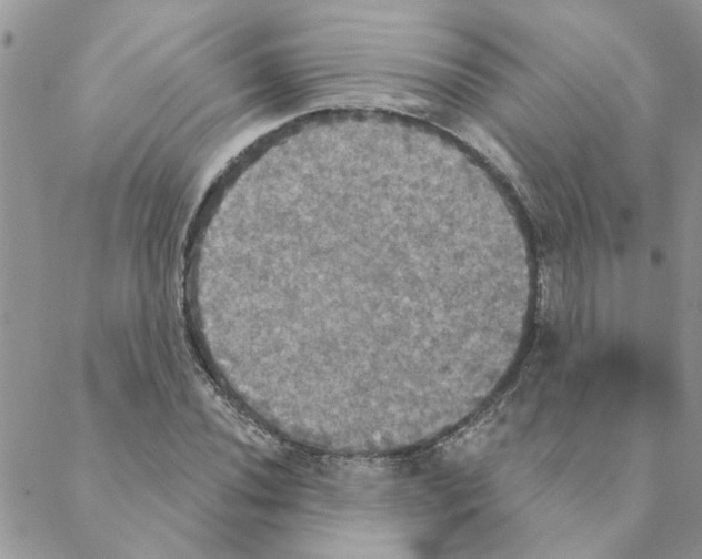 X0000088201020200706121735