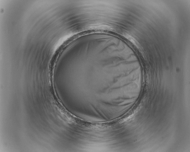 X0000088201022200706121735