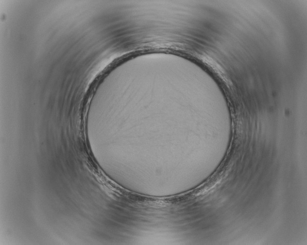 X0000088201023200706121735