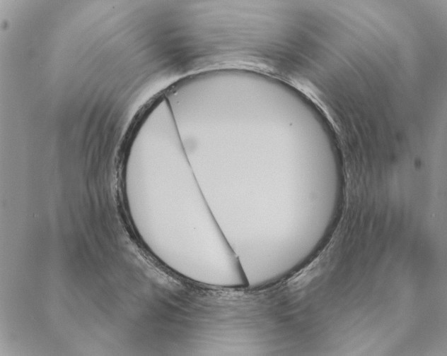 X0000088201024200706121735