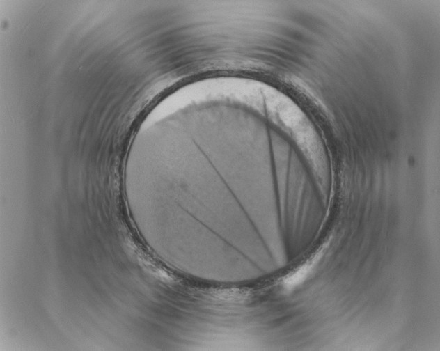 X0000088201025200706121735