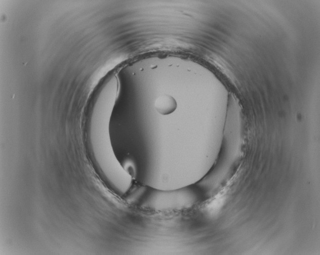 X0000088201026200706121735