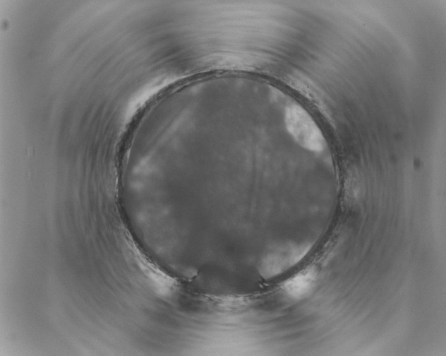 X0000088201027200706121735
