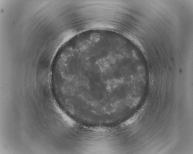 X0000088201029200706121735