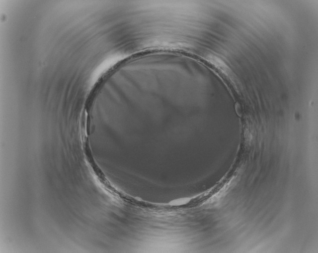 X0000088201030200706121735