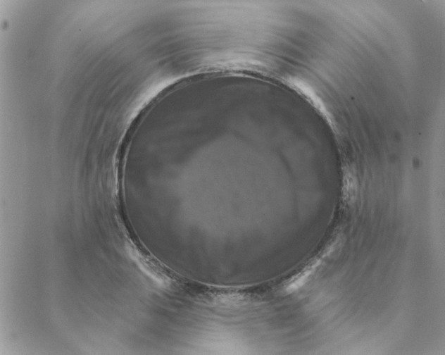 X0000088201031200706121735