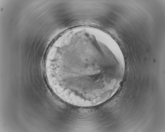 X0000088201032200706121735