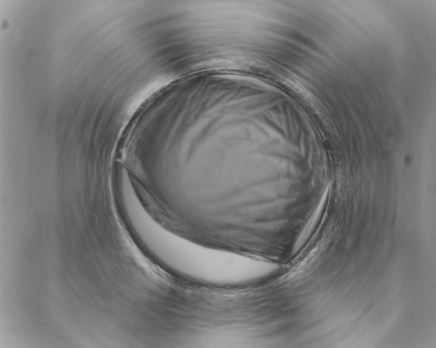X0000088201034200706121735