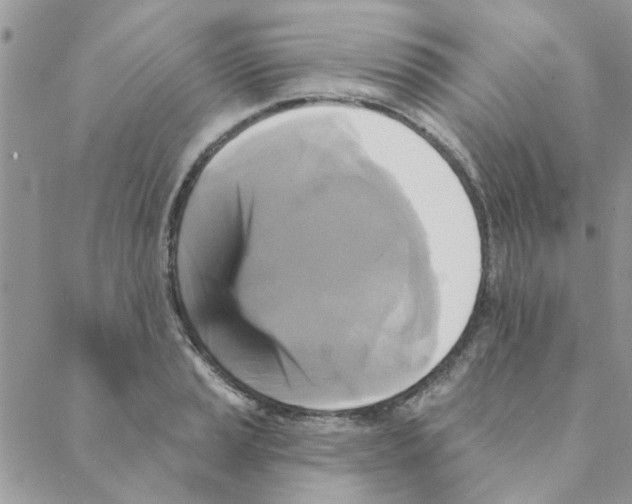 X0000088201037200706121735