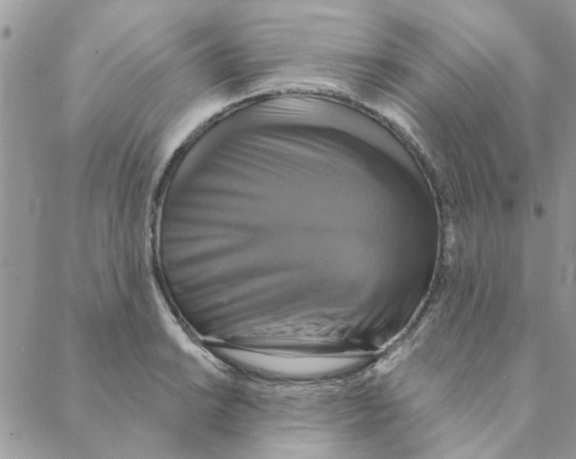 X0000088201038200706121735