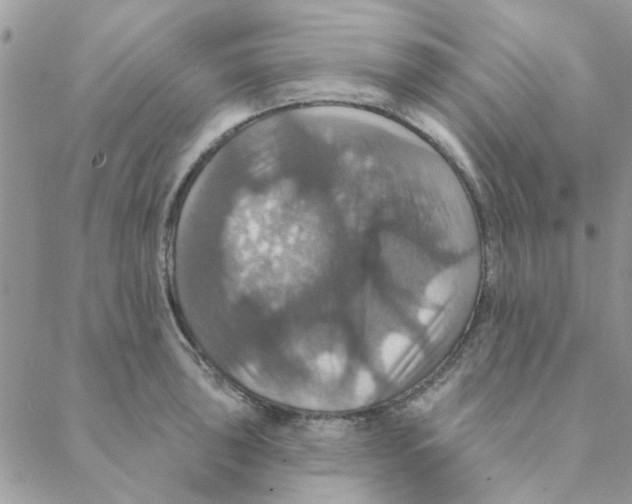 X0000088201043200706121735