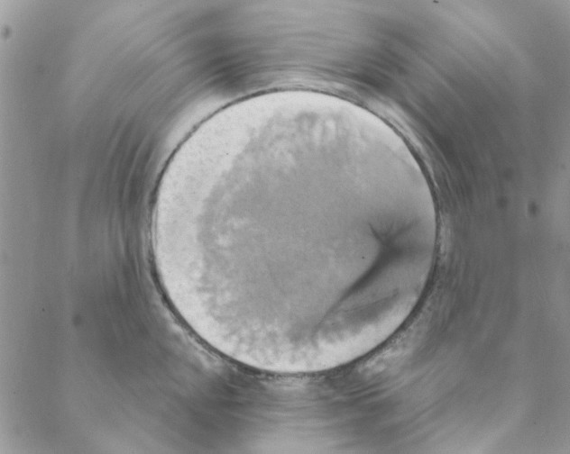 X0000088201048200706121736