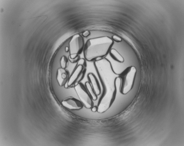 X0000088201050200706121736