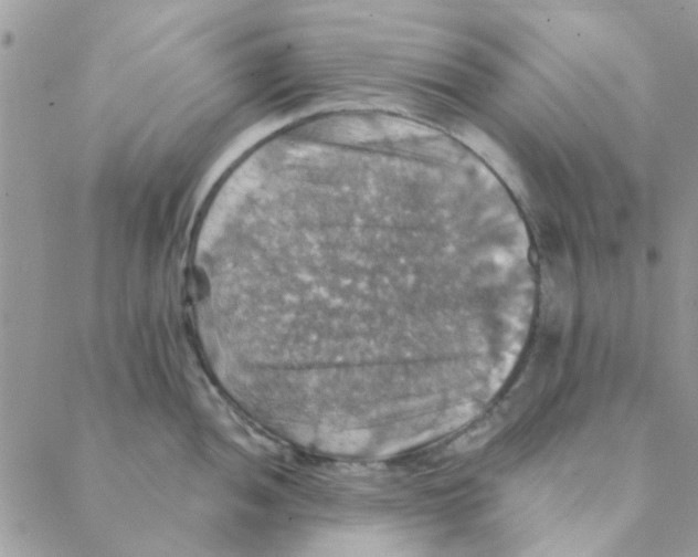 X0000088201052200706121736