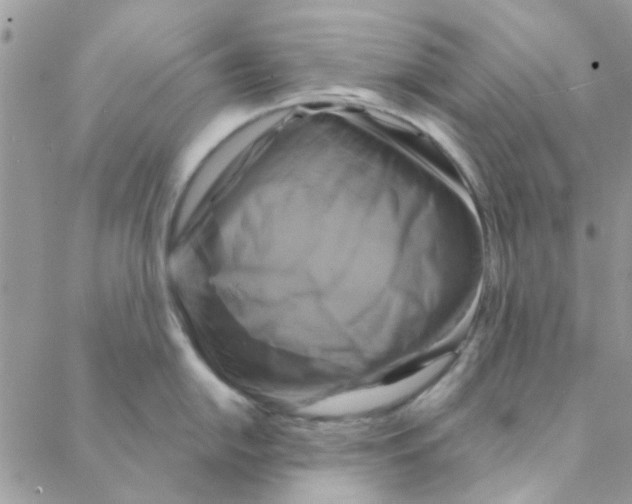 X0000088201054200706121736