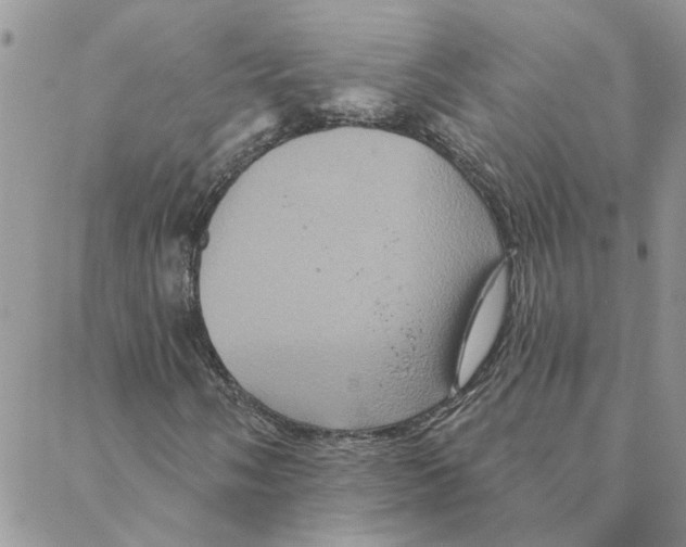 X0000088201058200706121735