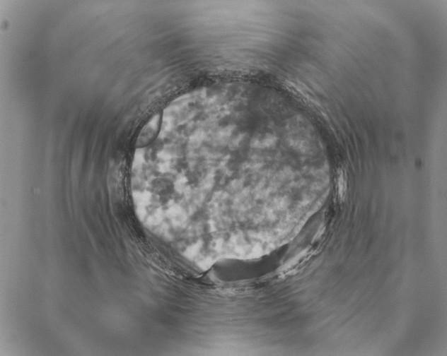 X0000088201059200706121735