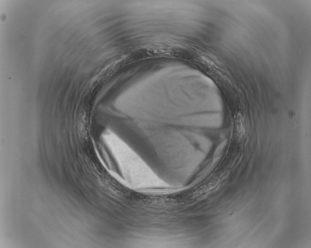 X0000088201060200706121735