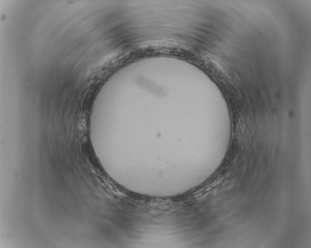 X0000088201062200706121735
