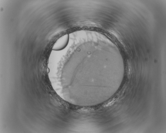 X0000088201063200706121735