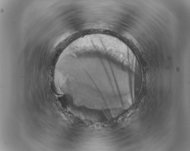 X0000088201064200706121735