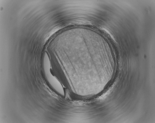 X0000088201065200706121735
