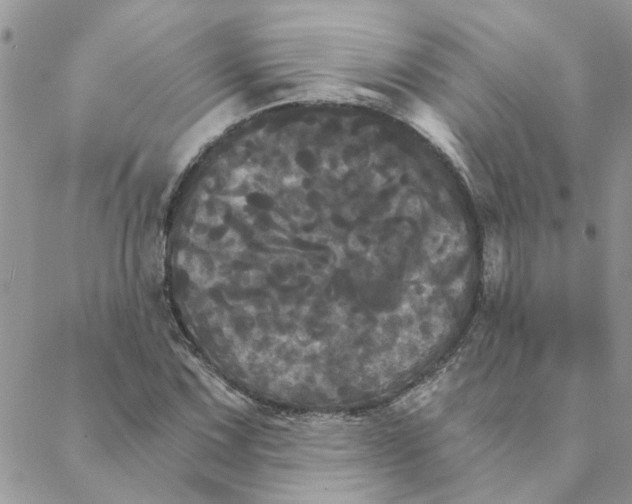 X0000088201067200706121735